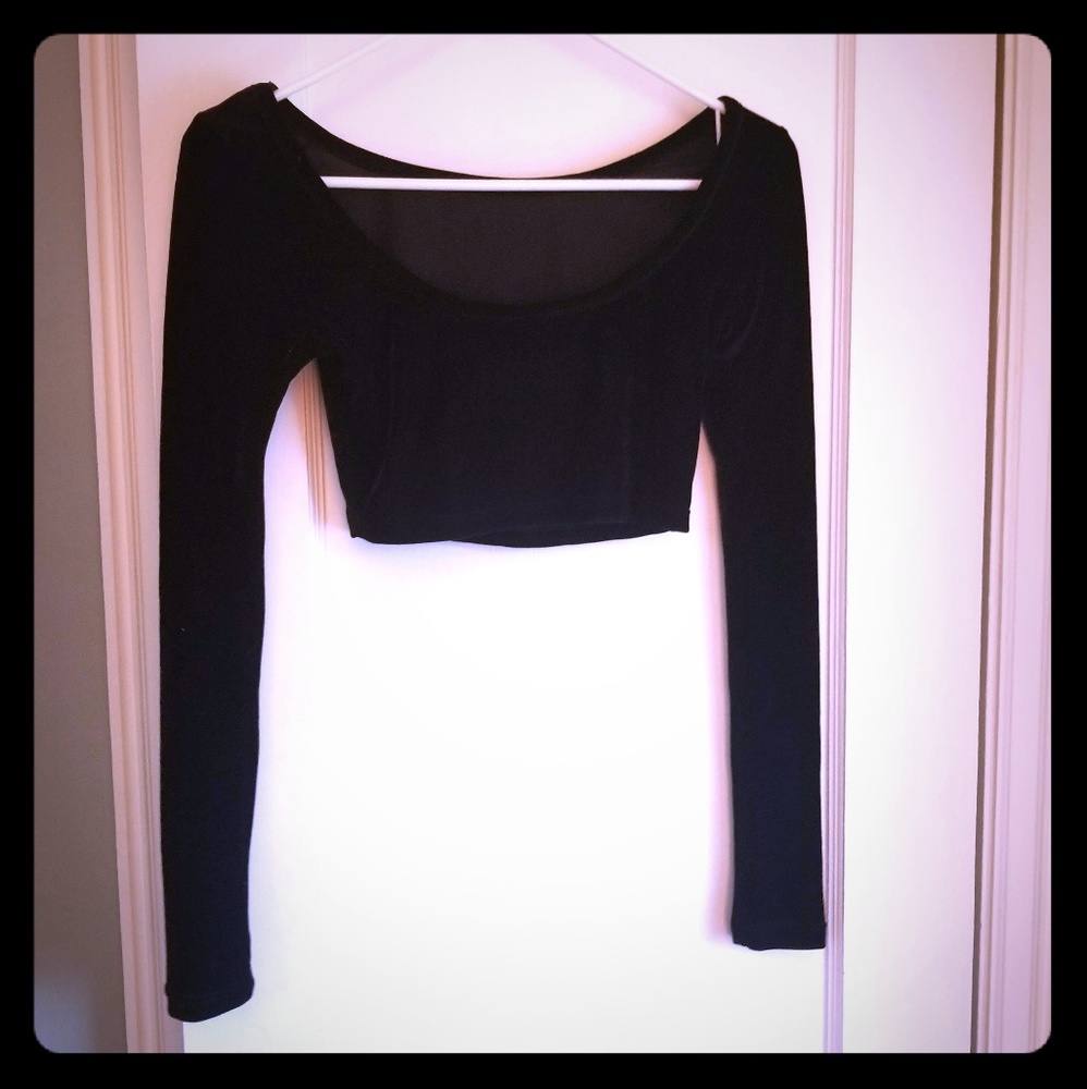 Black velvet looking sleeve crop ballet top